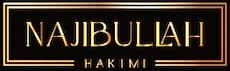 Najib Hakimi PLLC logo